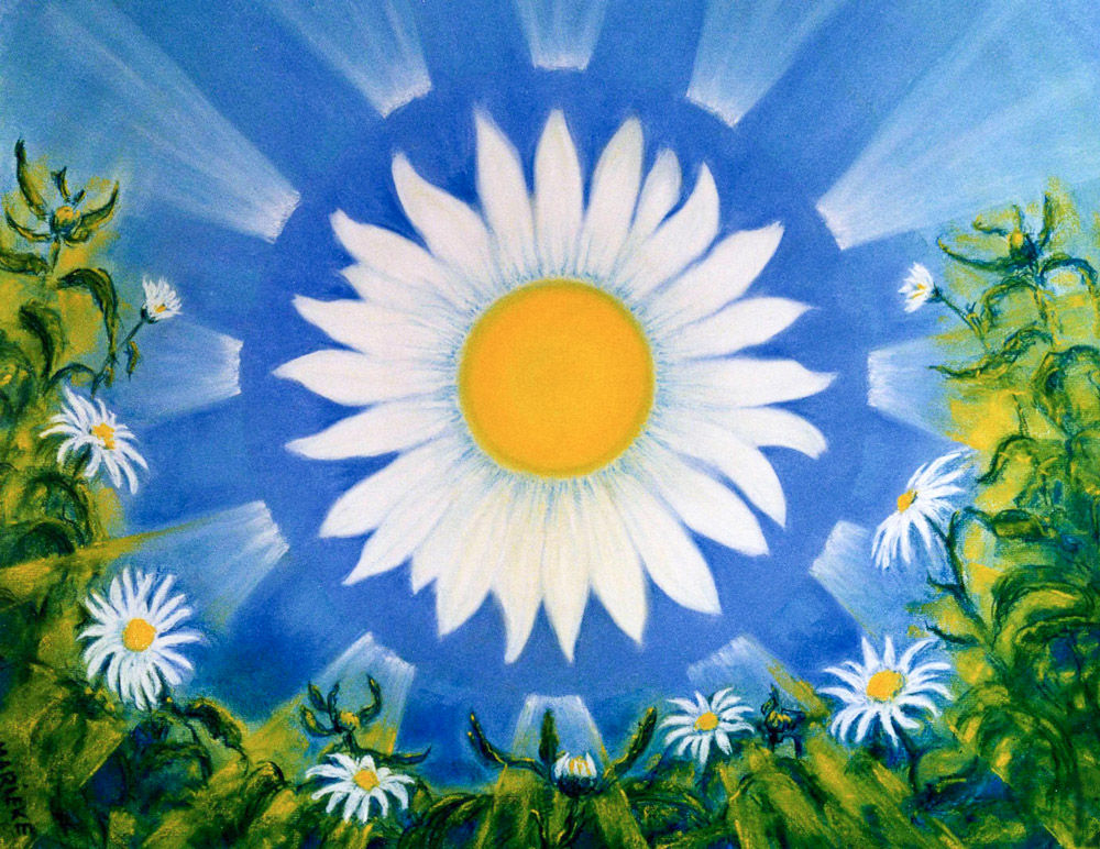 Zomer: Margriet