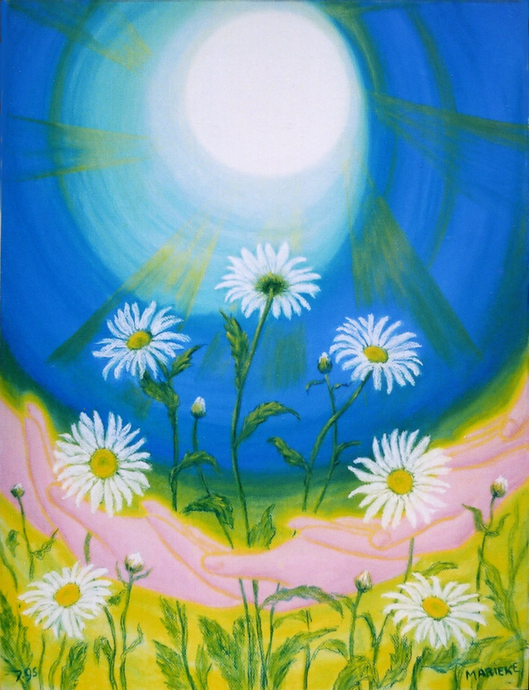 Margriet ( 2 )